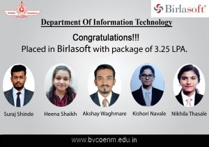 8.Birlasoft